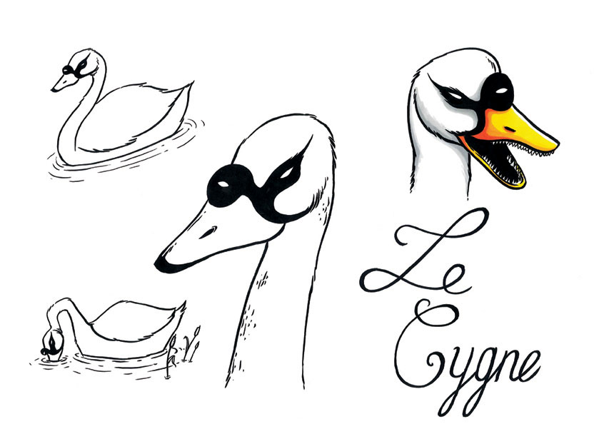 Cygne